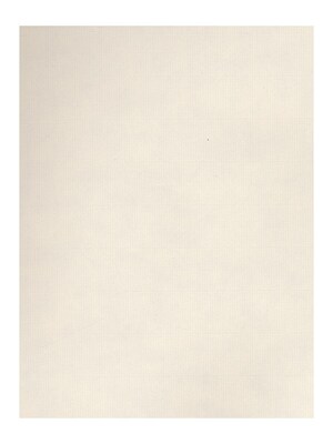 Strathmore Charcoal Paper white [Pack of 25](PK25-60-130)