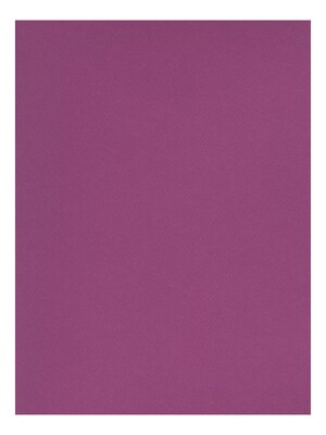 Canson Mi-Teintes Tinted Paper violet 19 in. x 25 in. [Pack of 10](PK10-100511261)