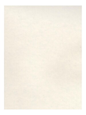 National Velour Heavyweight Colored Velour Sheet white [Pack of 6](PK6-3080 CS)