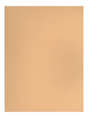 Canson Mi-Teintes Tinted Paper champagne 19 in. x 25 in. [Pack of 10](PK10-100511249)