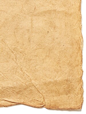 Graeham Owens Lokta Paper spice 20 in. x 30 in. 20 g [Pack of 10](PK10-GO-LT-SPI)