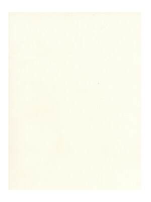 Strathmore 500 Series Pure Paper Tints white [Pack of 25](PK25-528-1)