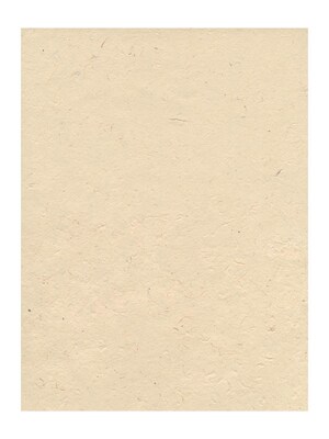 Graeham Owens Lokta Paper natural 20 in. x 30 in. 20 g [Pack of 10](PK10-GO-LTNAT)