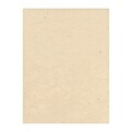 Graeham Owens Lokta Paper natural 20 in. x 30 in. 20 g [Pack of 10](PK10-GO-LTNAT)