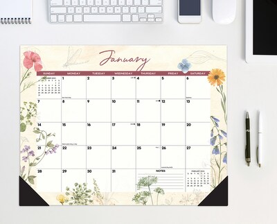 2024 Willow Creek Press Botanical Garden 2024 22 x 17 Large Monthly Deskpad Calendar (38741)