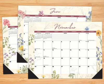 2024 Willow Creek Press Botanical Garden 2024 22" x 17" Large Monthly Deskpad Calendar (38741)