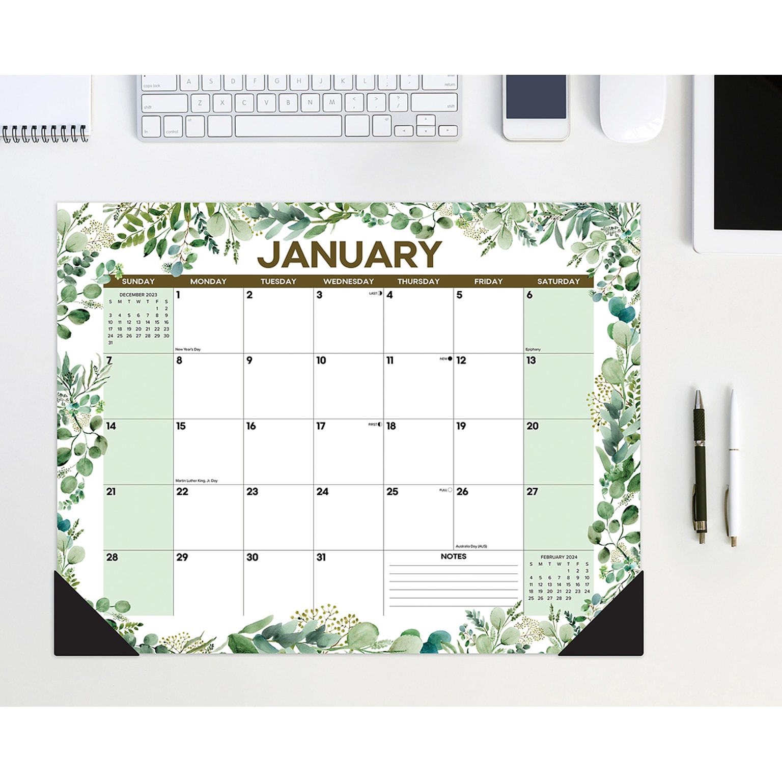 2024 Willow Creek Eucalyptus & Succulents 22 x 17 Monthly Desk or Wall Calendar, Multicolor (38758)