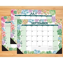 2024 Willow Creek Press Succulent 2024 22 x 17 Large Monthly Deskpad Calendar for Wall or Desk (38