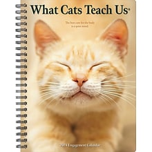 2024 Willow Creek Press What Cats Teach Us Weekly Engagement Planner 6.5 x 8.5 Spiral Calendar (37