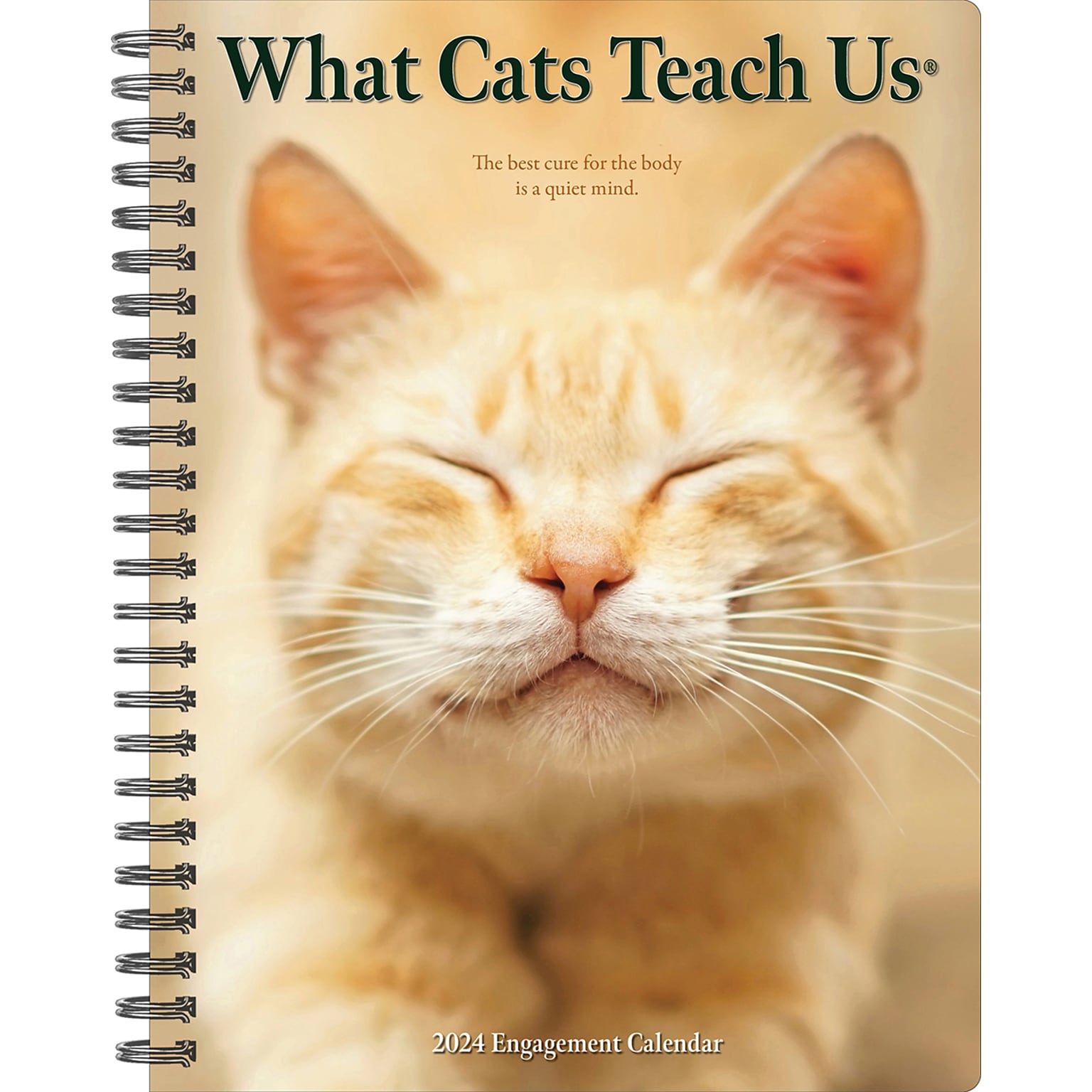 2024 Willow Creek Press What Cats Teach Us Weekly Engagement Planner 6.5 x 8.5 Spiral Calendar (37911)