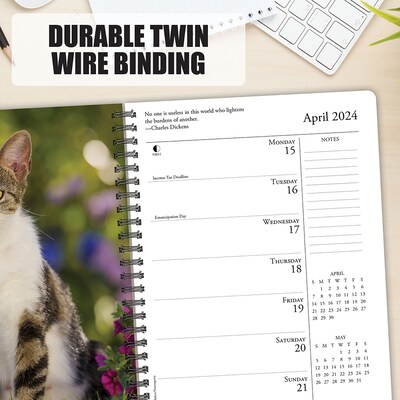 2024 Willow Creek Press What Cats Teach Us Weekly Engagement Planner 6.5" x 8.5" Spiral Calendar (37911)