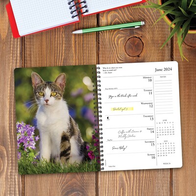 2024 Willow Creek Press What Cats Teach Us Weekly Engagement Planner 6.5" x 8.5" Spiral Calendar (37911)