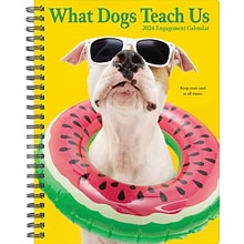 2024 Willow Creek Press What Dogs Teach Us Engagement Calendar, Weekly Planner 6.5 x 8.5 Spiral (3