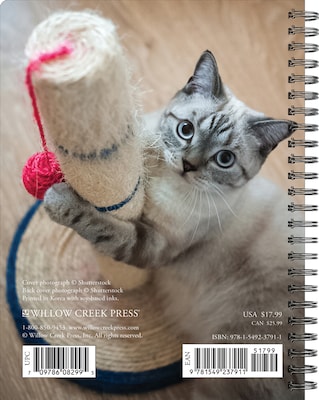 2024 Willow Creek Press What Cats Teach Us Weekly Engagement Planner 6.5 x 8.5 Spiral Calendar (37