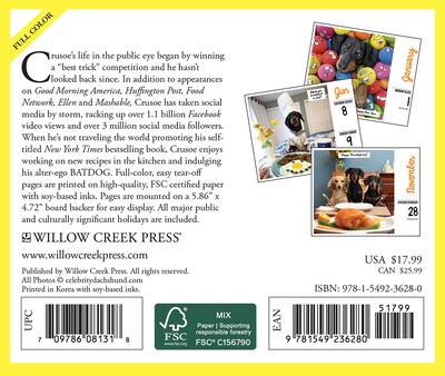 2024 Willow Creek Crusoe the Celebrity Dachshund 6 x 5.5 Daily Day-to-Day Calendar, Multicolor (36