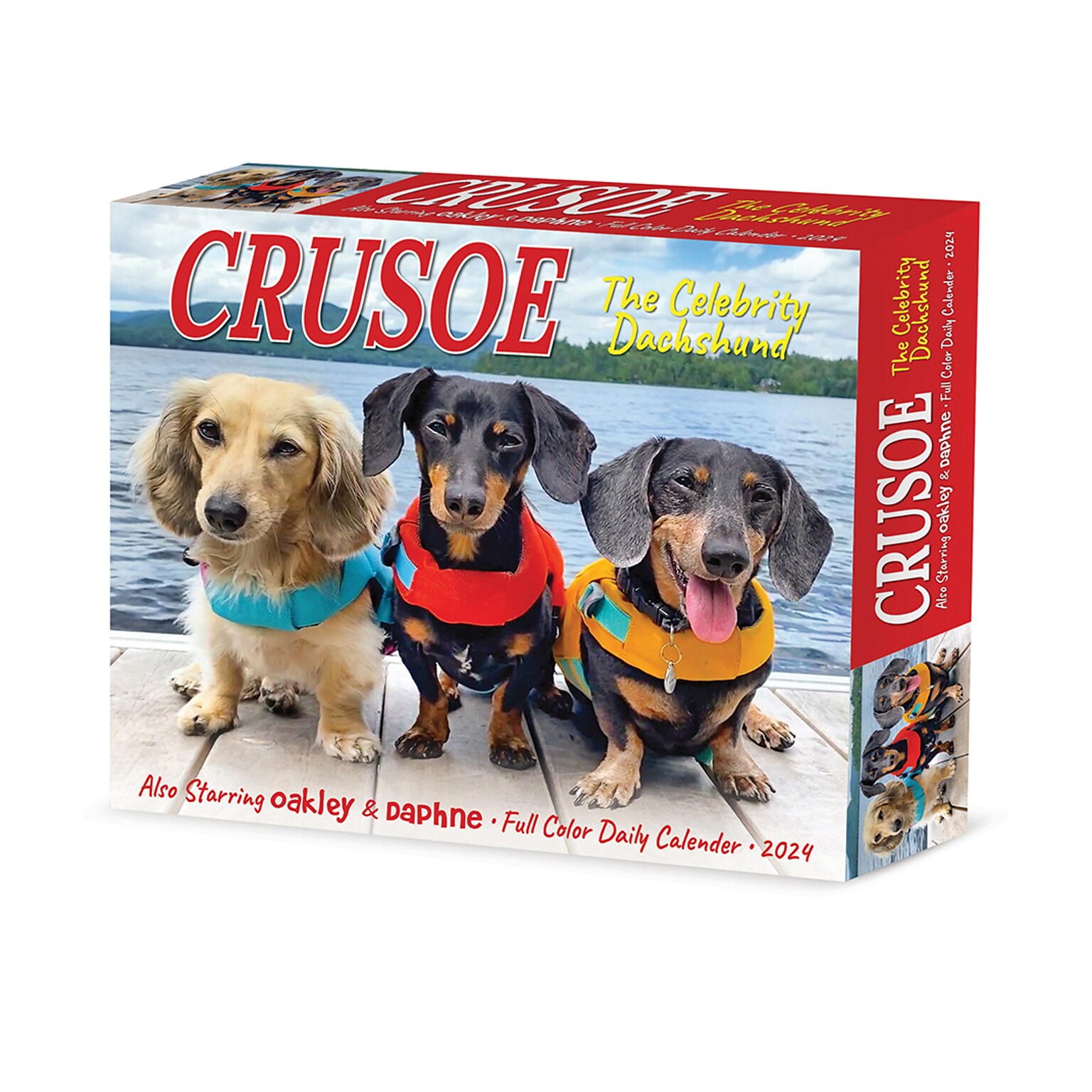 2024 Willow Creek Crusoe the Celebrity Dachshund 6 x 5.5 Daily Day-to-Day Calendar, Multicolor (36280)
