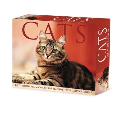 2024 Willow Creek Cats 6 x 5.5 Daily Day-to-Day Calendar, Multicolor (38680)