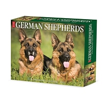 2024 Willow Creek German Shepherds 6 x 5.5 Daily Day-to-Day Calendar, Multicolor (36334)