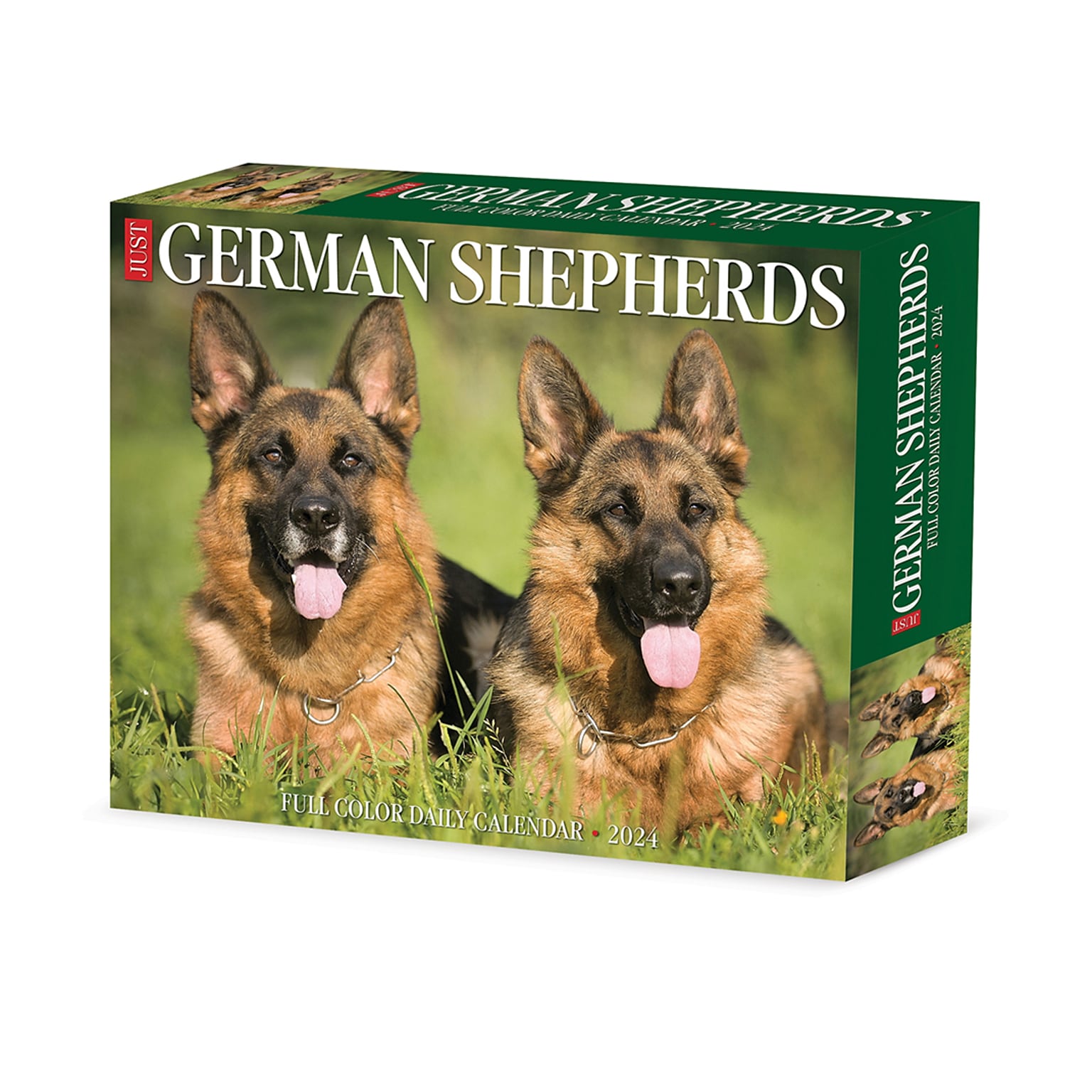 2024 Willow Creek German Shepherds 6 x 5.5 Daily Day-to-Day Calendar, Multicolor (36334)