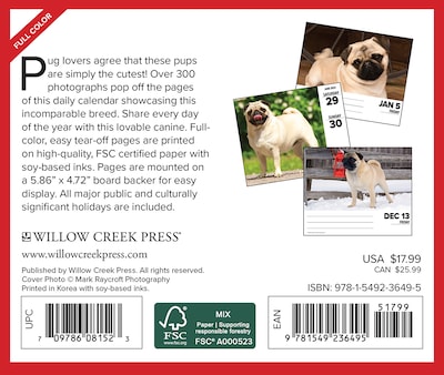 2024 Willow Creek Pugs 6" x 5.5" Daily Day-to-Day Calendar, Multicolor (36495)