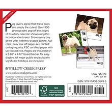 2024 Willow Creek Pugs 6 x 5.5 Daily Day-to-Day Calendar, Multicolor (36495)