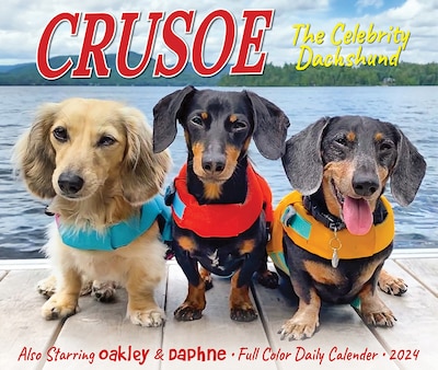 2024 Willow Creek Crusoe the Celebrity Dachshund 6" x 5.5" Daily Day-to-Day Calendar, Multicolor (36280)