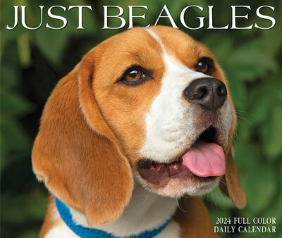 2024 Willow Creek Beagles 6" x 5.5" Daily Day-to-Day Calendar, Multicolor (36181)