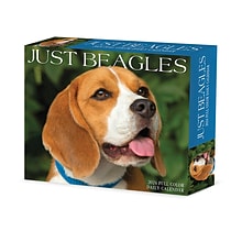 2024 Willow Creek Beagles 6 x 5.5 Daily Day-to-Day Calendar, Multicolor (36181)