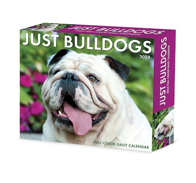 2024 Willow Creek Bulldogs 6 x 5.5 Daily Day-to-Day Calendar, Multicolor (36235)