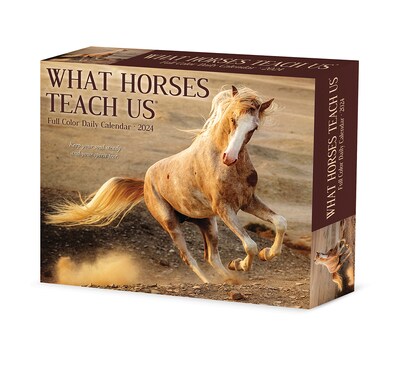 2024 Willow Creek What Horses Teach Us 6 x 5.5 Daily Day-to-Day Calendar, Multicolor (36617)