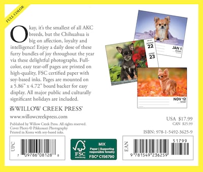 2024 Willow Creek Chihuahuas 6 x 5.5 Daily Day-to-Day Calendar, Multicolor (36259)