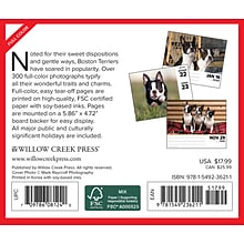 2024 Willow Creek Boston Terriers 6 x 5.5 Daily Day-to-Day Calendar, Multicolor (36211)