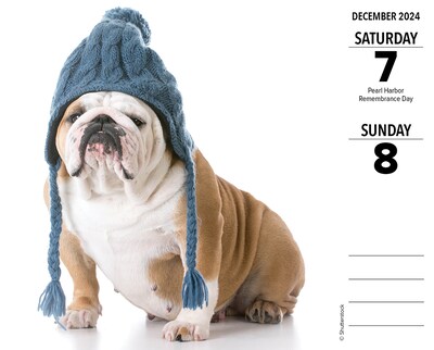 2024 Willow Creek Bulldogs 6" x 5.5" Daily Day-to-Day Calendar, Multicolor (36235)