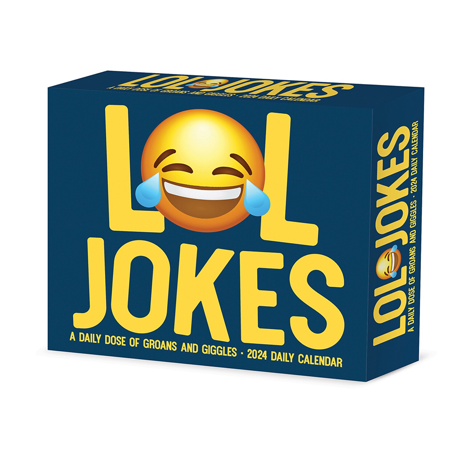 2024 Willow Creek Press LOL Jokes 2024 Box Calendar Daily Desk 5.5" x 6