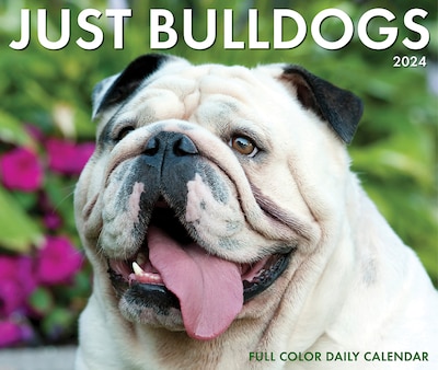 2024 Willow Creek Bulldogs 6" x 5.5" Daily Day-to-Day Calendar, Multicolor (36235)