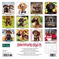 2024 Willow Creek Dachshund Rules 7 x 7 Monthly Wall Calendar, Multicolor (36747)