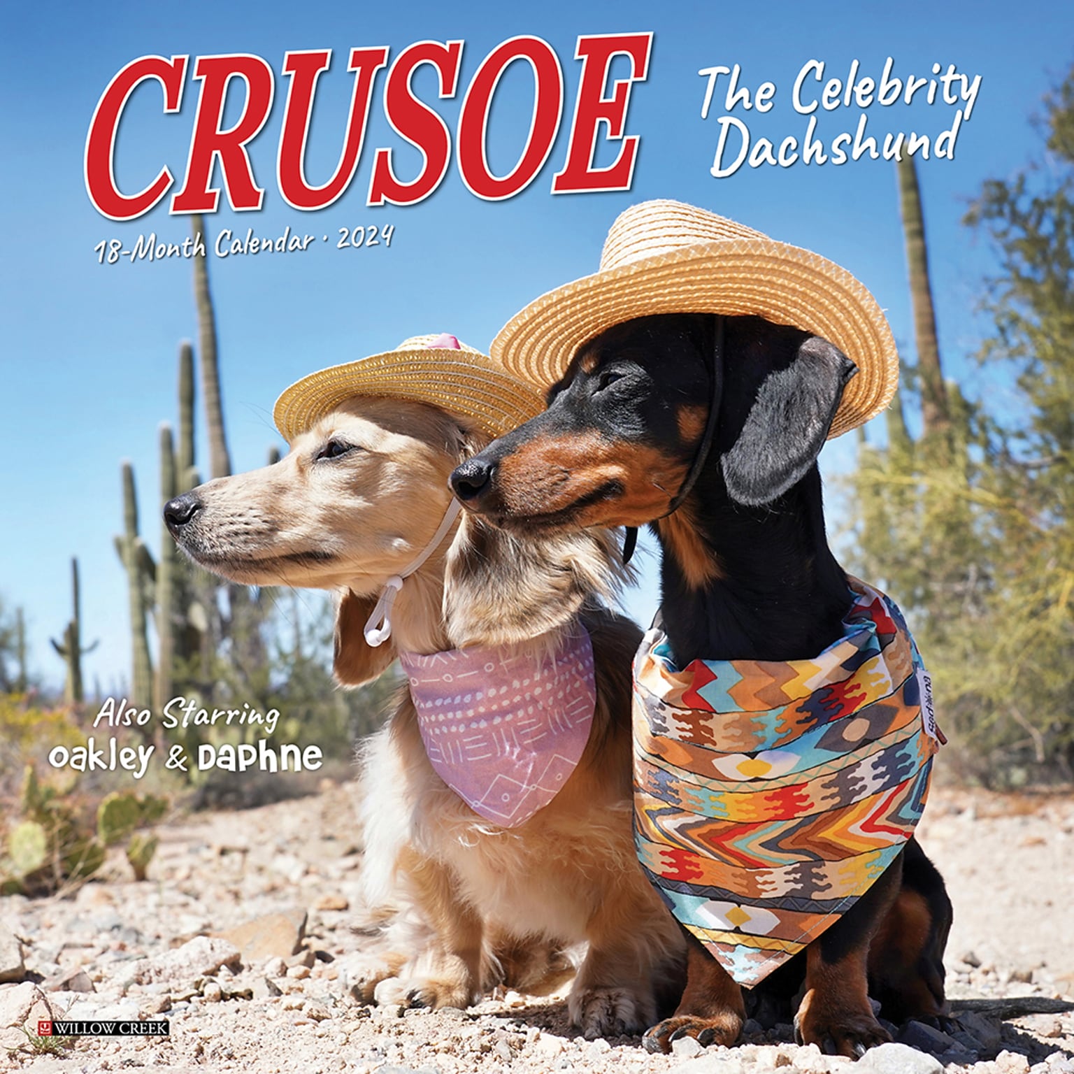 2024 Willow Creek Crusoe the Celebrity Dachshund 7 x 7 Monthly Wall Calendar, Multicolor (36730)
