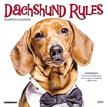 2024 Willow Creek Dachshund Rules 7 x 7 Monthly Wall Calendar, Multicolor (36747)