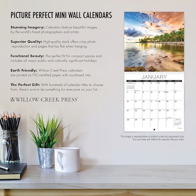 2024 Willow Creek Koala Bears 7" x 7" Monthly Wall Calendar, Multicolor (36815)