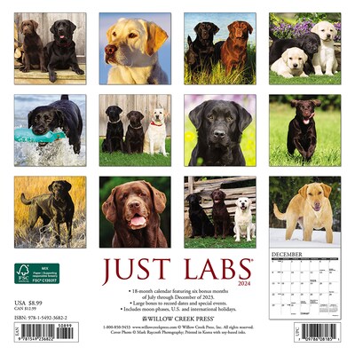 2024 Willow Creek Just Labs 7 x 7 Monthly Wall Calendar, Multicolor (36822)