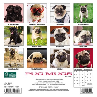 2024 Willow Creek Pug Mugs 7 x 7 Monthly Wall Calendar, Multicolor (36921)