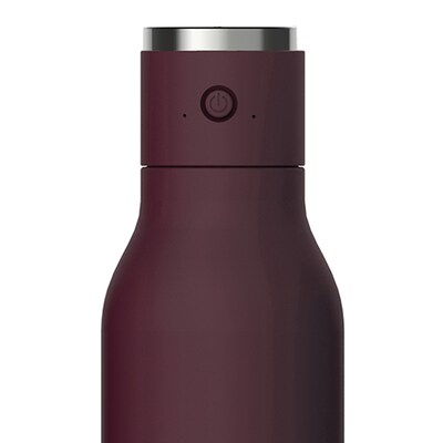 ASOBU Stainless Steel Vacuum Insulated Water Bottle, 17 oz., Purple (ADNANABT60BURG)