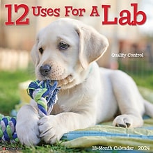 2024 Willow Creek 12 Uses for a Lab 12 x 12 Monthly Wall Calendar, Multicolor (31933)