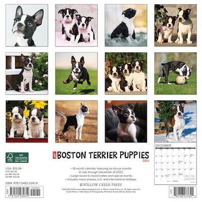 2024 Willow Creek Just Boston Terrier Puppies 12" x 12" Monthly Wall Calendar, Multicolor (32619)