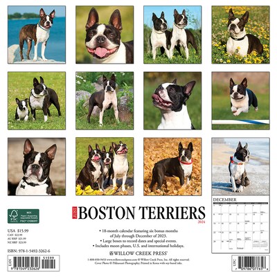 2024 Willow Creek Boston Terriers 12 x 12 Monthly Wall Calendar, Multicolor (32626)