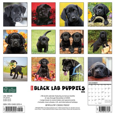 2024 Willow Creek Press Just Black Lab Puppies 2024 Wall Calendar 12 x 12 (32534)