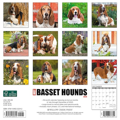 2024 Willow Creek Just Basset Hounds 12 x 12 Monthly Wall Calendar, Multicolor (32312)