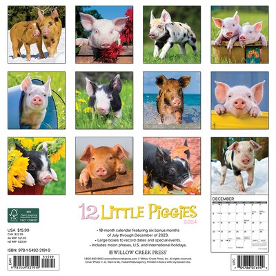 2024 Willow Creek 12 Little Piggies 12 x 12 Monthly Wall Calendar, Multicolor (31919)