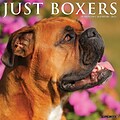 2024 Willow Creek Just Boxers 12 x 12 Monthly Wall Calendar, Multicolor (32640)
