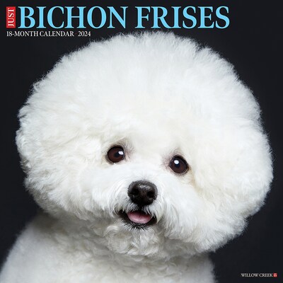 2024 Willow Creek Just Bichons Frises 12 x 12 Monthly Wall Calendar, Multicolor (32442)